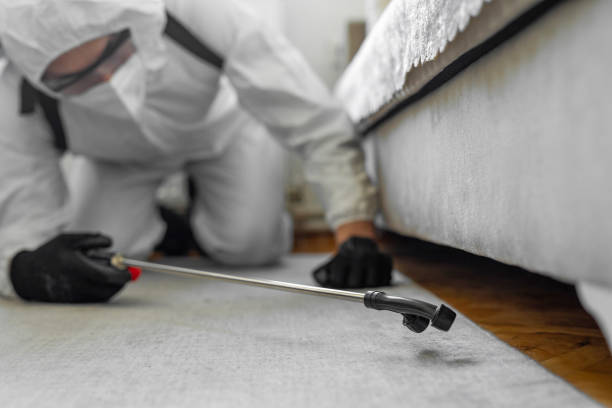 Professional Cockroach Control technician working in Pine Island Center, FL