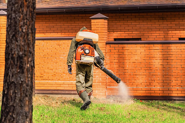 Trusted Fumigation Services service in Pine Island Center, FL - Nex Pest Control